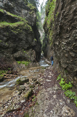 Diery © Grzegorz Giemza