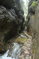 Diery © Grzegorz Giemza