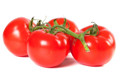 Bunch of ripe tomato