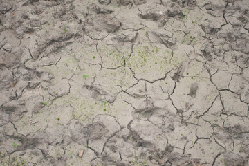 Wet grey mud background