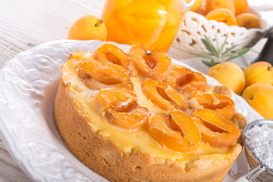 Mirabellenkuchen 이미지 – 찾아보기 73 스톡 사진, 벡터 및 비디오 | Adobe Stock