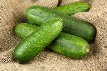 Tasty green cucumbers on sackcloth background