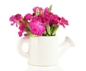 Bouquet of carnations in vase, isolated on white