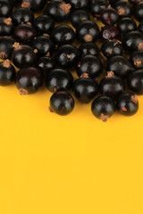Blackcurrants on yellow background