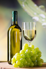 Obraz na płótnie Canvas winogrona i wino