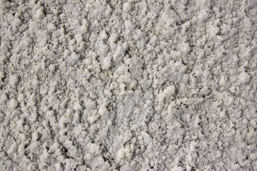 Salt on the shore of Mono Lake