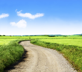 paisaje de campos verdes y camino