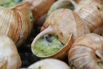 escargots