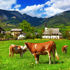 Fototapeta na wymiar Alpine scenery - green meadows