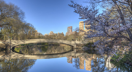 Central Park bow bridge spring