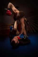 fierce fighting in the ring