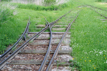 old switch
