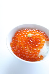  japanese cuisine, seasoned salmon roe Ikura on rice