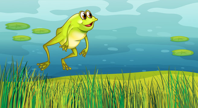 A frog jumping in the grass