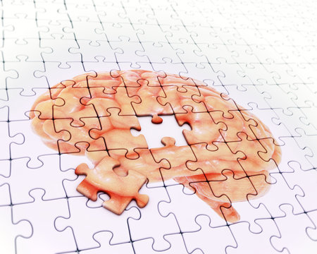 Brain jigsaw puzzle