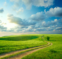 Summer landscape with green grass, road and clouds