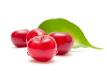 ripe cherry fruit