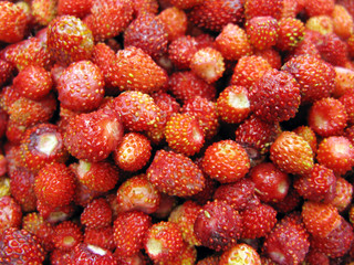 wild strawberry berries fruit dessert background
