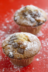 Schokoladenmuffins