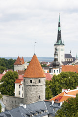 Fototapeta premium Summer view of the Old Town of Tallinn, Estonia