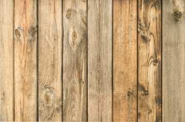 Fototapeta premium wood texture