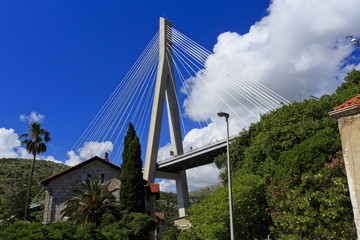 Cable stayed bridge with houses