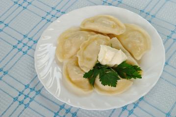 sour cream dumplings on a white plate