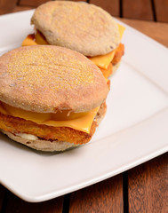 Burger with fish