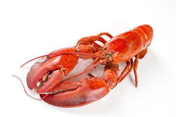 homard cuit