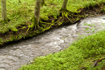 On the Hiking Trail Eifelsteig