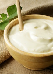 natural organic dairy products (sour cream, yogurt)