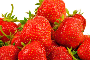 lots of fresh strawberries on white background