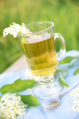 Frischer Holunderblütentee