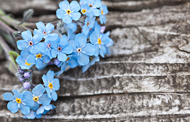Bunch of beautiful blue forget me not flower on wooden table - obrazy, fototapety, plakaty