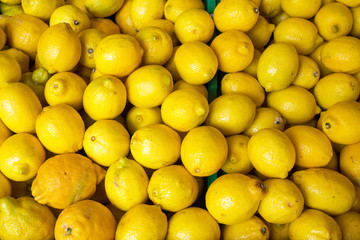 Fresh lemon for sale