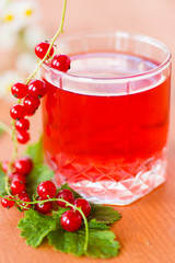 compote of red currants