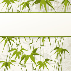 Bamboo with leaves pattern.