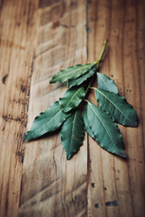Bay Leaves
