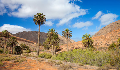 Fototapeta na wymiar Central Fueretventura