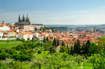 Zelfklevend Fotobehang View over Prague from Strahov Monastery © davidionut