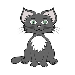 funny cartoon cat