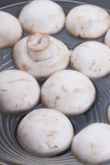 Mushrooms