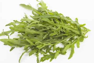 Ruccola