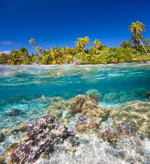 Tropical island