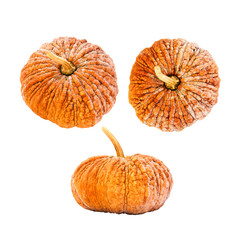 Pumpkins isolated on white background