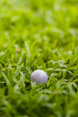 golf ball in the rough