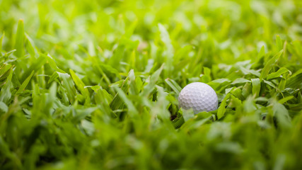 golf ball in the rough