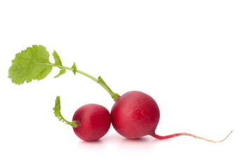 Small garden radish