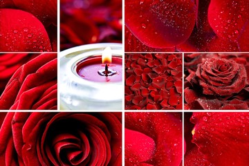 Red Roses Mosaic