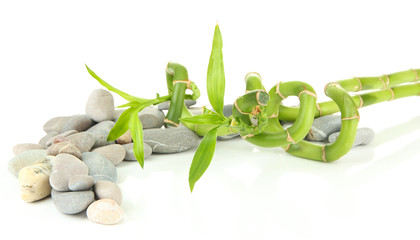 Fototapeta na wymiar Still life with green bamboo plant and stones, isolated on